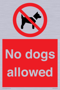 No dogs allowed